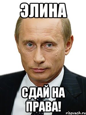 Элина Сдай на права!, Мем Путин