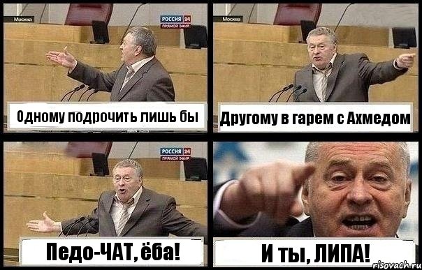 Одному подрочить лишь бы Другому в гарем с Ахмедом Педо-ЧАТ, ёба! И ты, ЛИПА!