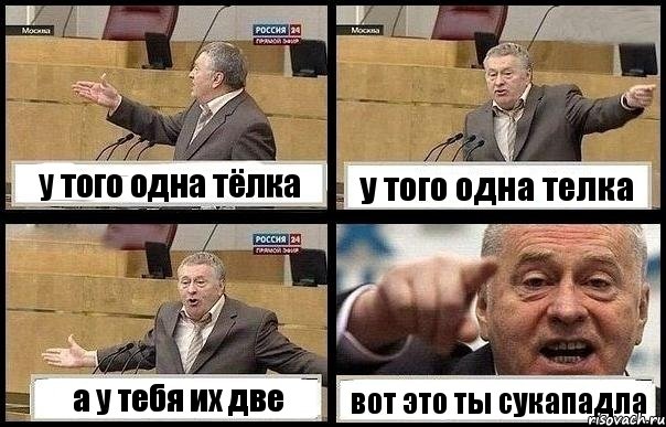 у того одна тёлка у того одна телка а у тебя их две вот это ты сукападла