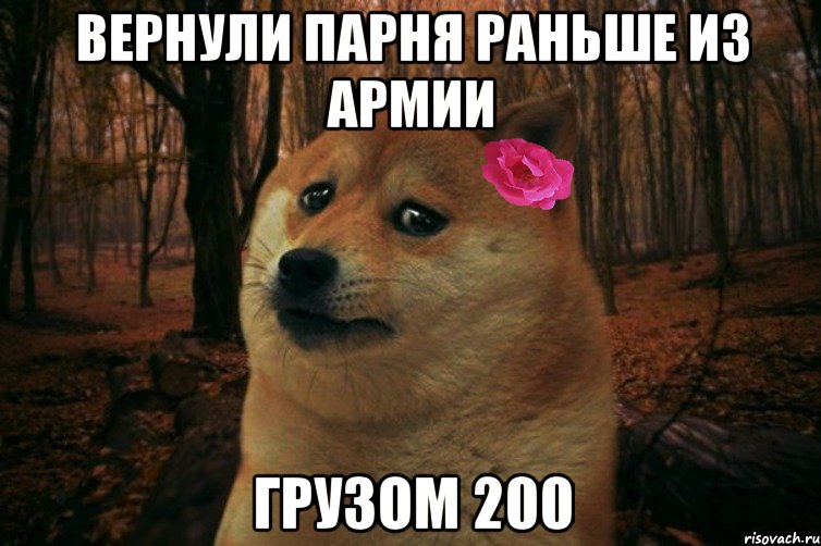 Вернули парня раньше из армии Грузом 200, Мем  SAD DOGE GIRL