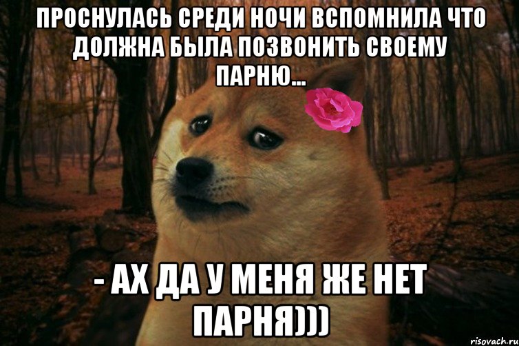 проснулась среди ночи вспомнила что должна была позвонить своему парню... - ах да у меня же нет парня))), Мем  SAD DOGE GIRL