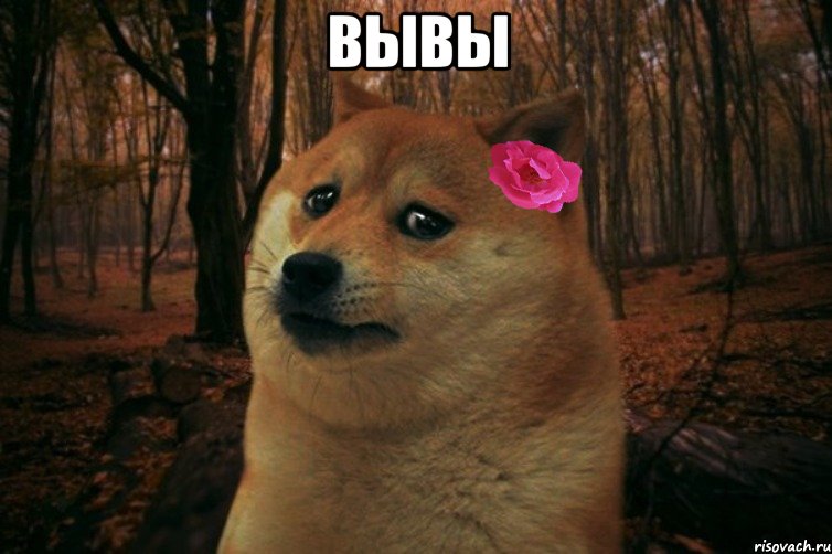 вывы , Мем  SAD DOGE GIRL