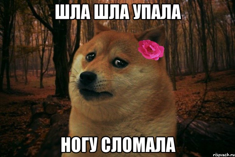 Шла шла упала ногу сломала, Мем  SAD DOGE GIRL