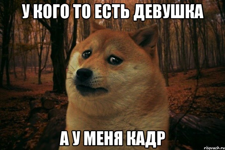 у кого то есть девушка а у меня кадр, Мем SAD DOGE