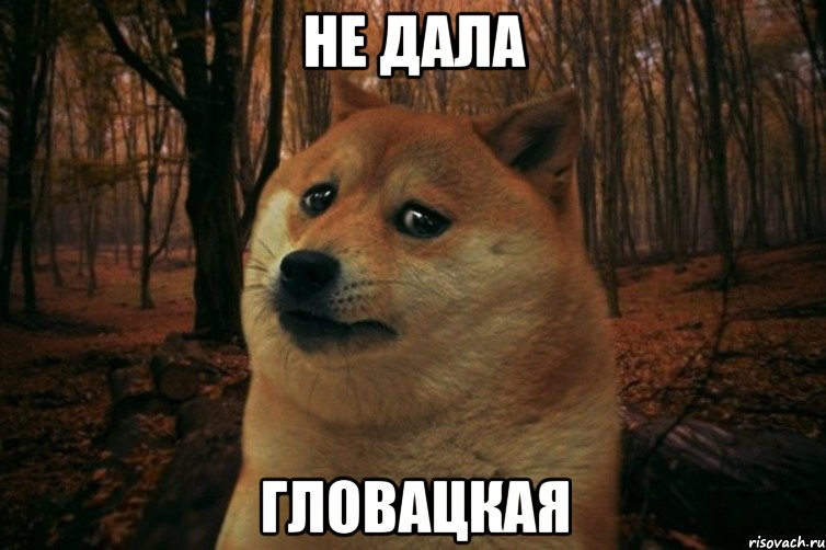 Не дала гловацкая, Мем SAD DOGE