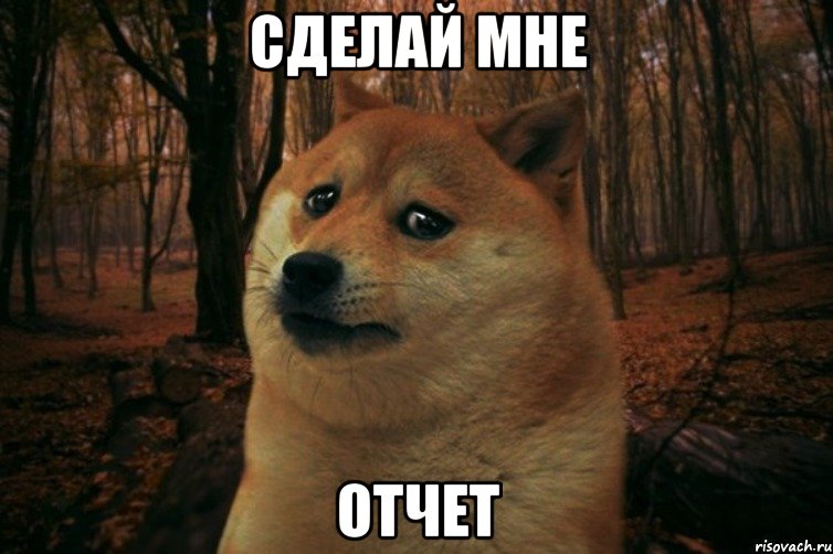 Сделай мне Отчет, Мем SAD DOGE