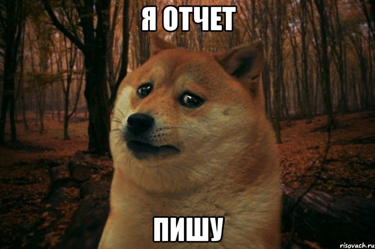 Я отчет ПИШУ, Мем SAD DOGE