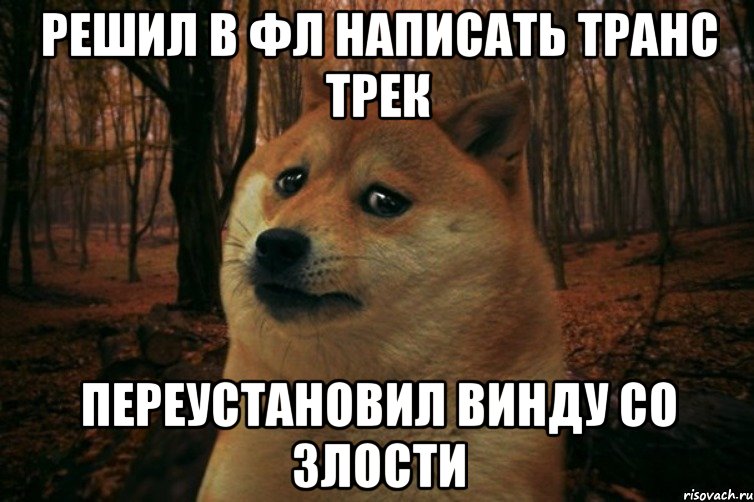 Решил в ФЛ написать транс трек Переустановил винду со злости, Мем SAD DOGE