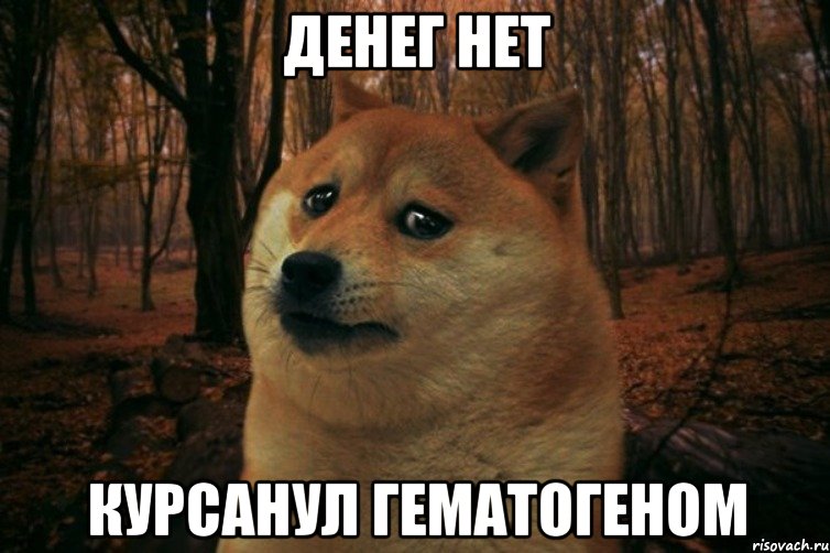 Денег нет Курсанул гематогеном, Мем SAD DOGE