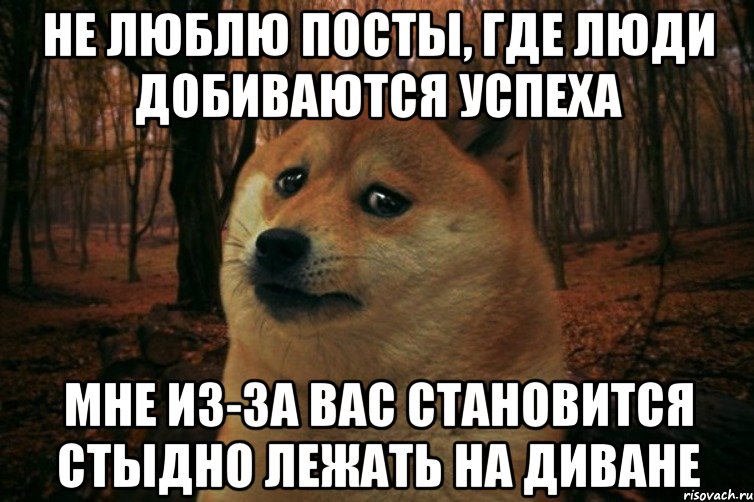 НЕ ЛЮБЛЮ ПОСТЫ, ГДЕ ЛЮДИ ДОБИВАЮТСЯ УСПЕХА МНЕ ИЗ-ЗА ВАС СТАНОВИТСЯ СТЫДНО ЛЕЖАТЬ НА ДИВАНЕ, Мем SAD DOGE