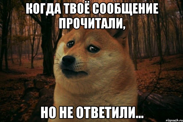 Когда твоё сообщение прочитали, Но не ответили..., Мем SAD DOGE