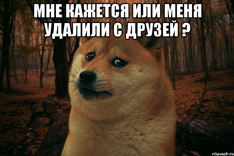 мне кажется или меня удалили с друзей ? , Мем SAD DOGE