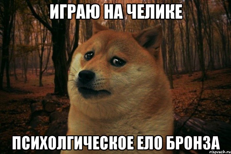 Играю на челике Психолгическое ело бронза, Мем SAD DOGE