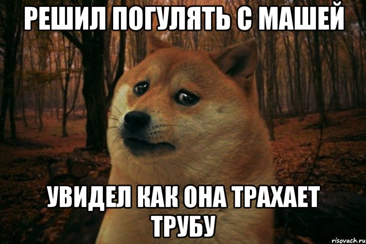 Решил погулять с Машей Увидел как она трахает трубу, Мем SAD DOGE