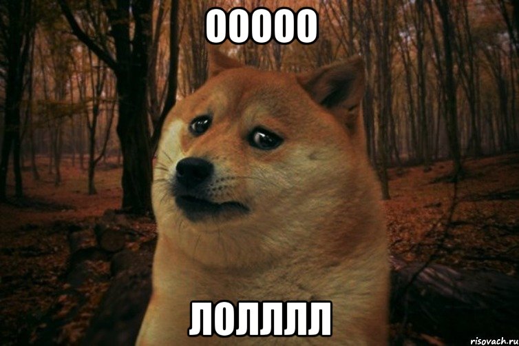 Ооооо Лолллл, Мем SAD DOGE