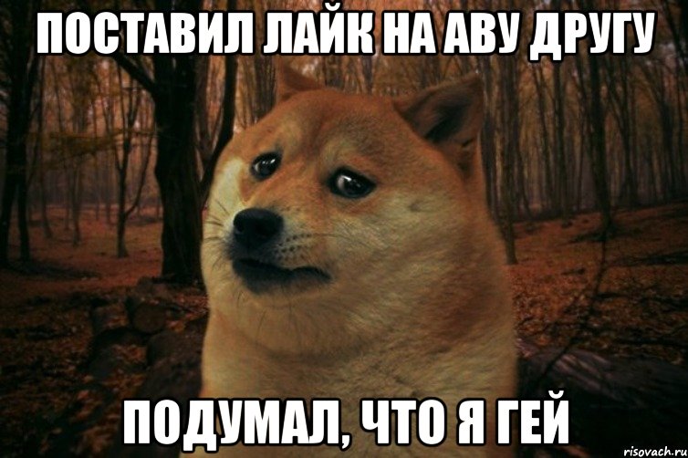 Поставил лайк на аву другу Подумал, что я гей, Мем SAD DOGE