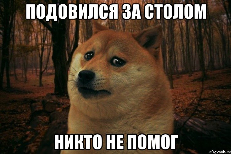 Подовился за столом Никто не помог, Мем SAD DOGE