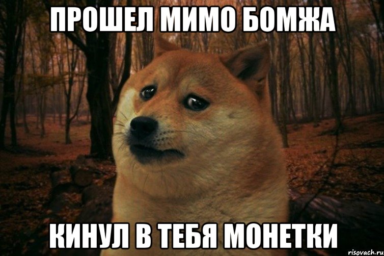 Прошел мимо бомжа Кинул в тебя монетки, Мем SAD DOGE