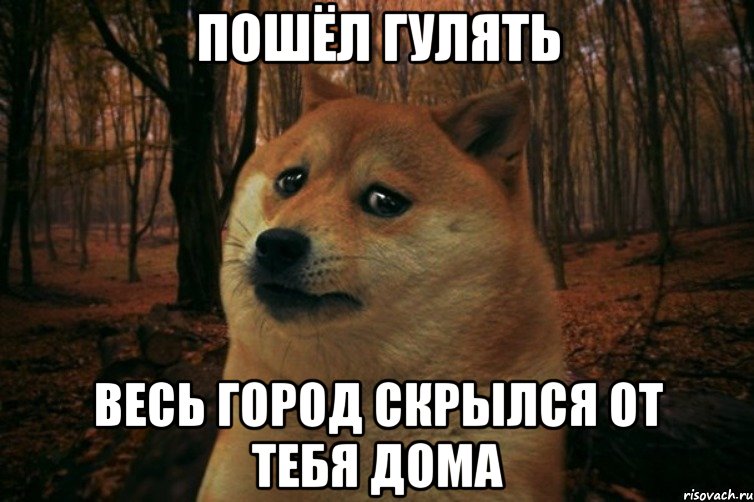 Пошёл гулять Весь город скрылся от тебя дома, Мем SAD DOGE