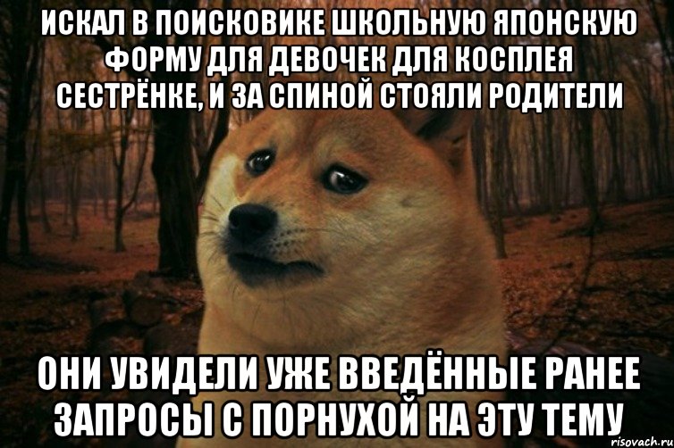 Искал в поисковике школьную японскую форму для девочек для косплея сестрёнке, и за спиной стояли родители Они увидели уже введённые ранее запросы с порнухой на эту тему, Мем SAD DOGE