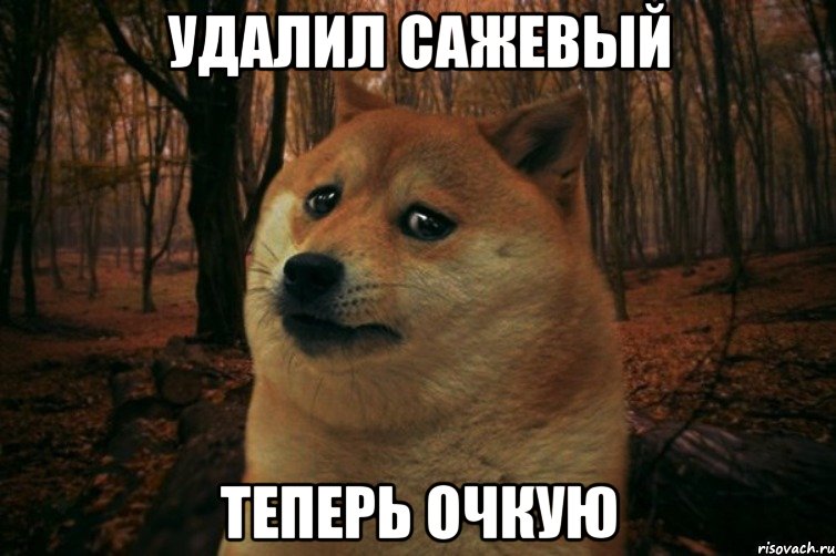 УДАЛИЛ САЖЕВЫЙ ТЕПЕРЬ ОЧКУЮ, Мем SAD DOGE