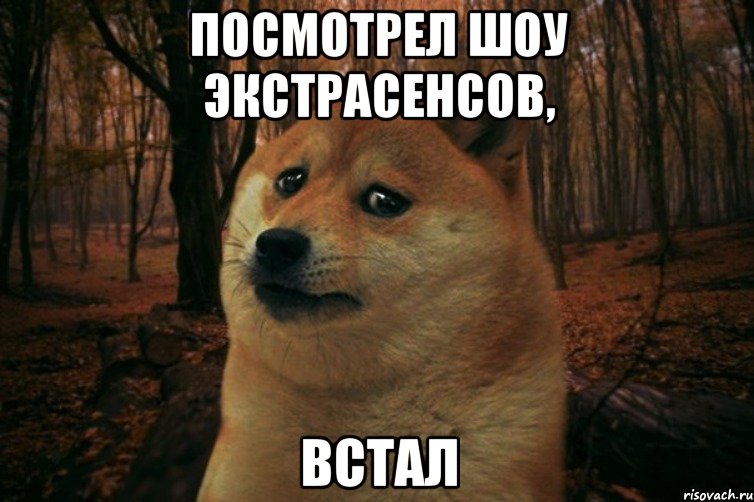 Посмотрел шоу экстрасенсов, встал, Мем SAD DOGE