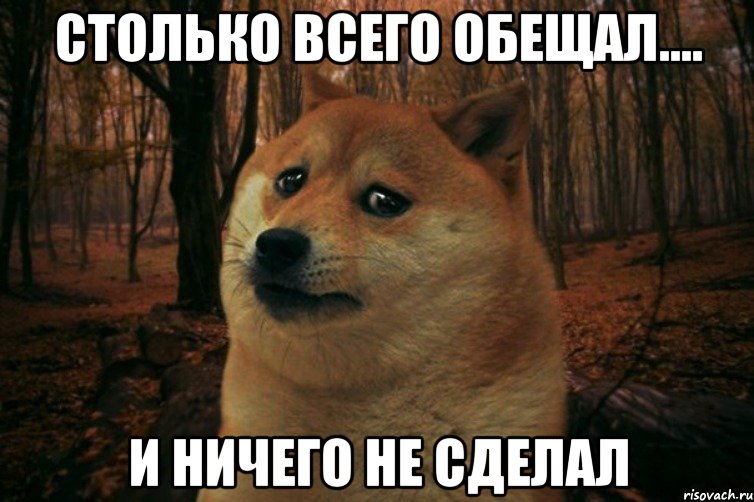 СТОЛЬКО ВСЕГО ОБЕЩАЛ.... И НИЧЕГО НЕ СДЕЛАЛ, Мем SAD DOGE