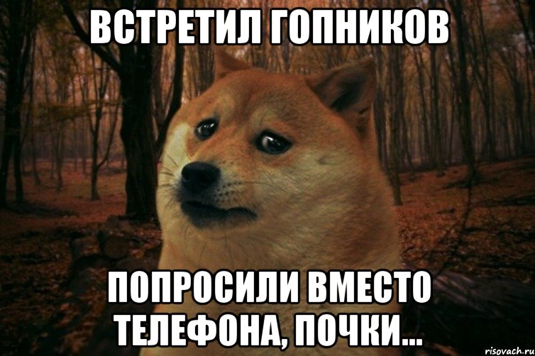 Встретил гопников Попросили вместо телефона, почки..., Мем SAD DOGE