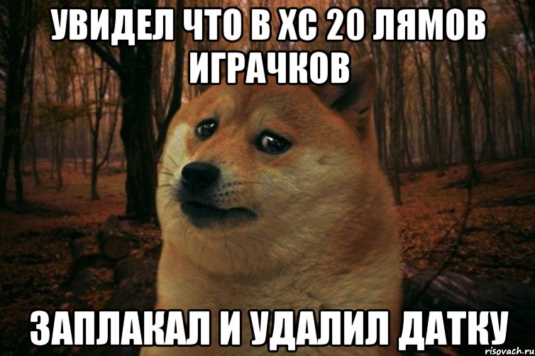 Увидел что в ХС 20 лямов играчков Заплакал и удалил датку, Мем SAD DOGE