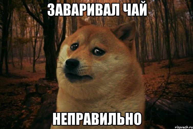 Заваривал чай Неправильно, Мем SAD DOGE