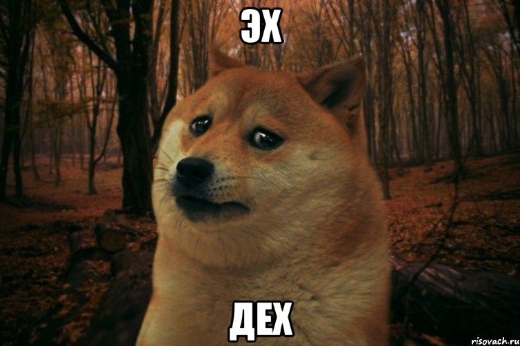 эх дех, Мем SAD DOGE