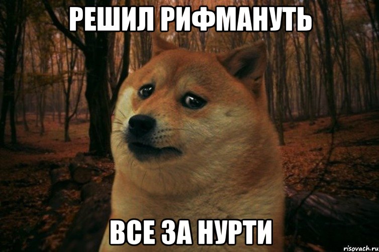 Решил рифмануть Все за Нурти, Мем SAD DOGE