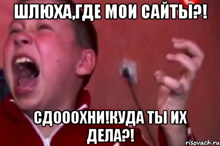 Шлюха,где мои сайты?! сдооохни!куда ты их дела?!