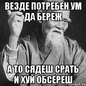 Везде потребен ум да береж А то сядеш срать и хуй обсереш, Мем Монах-мудрец (сэнсей)