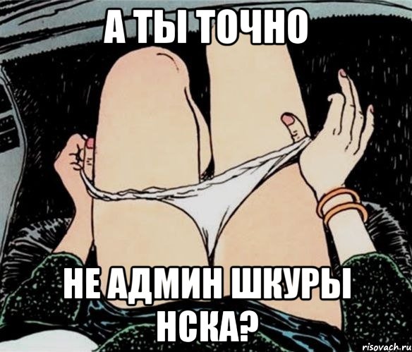 А ты точно Не админ шкуры нска?, Мем А ты точно