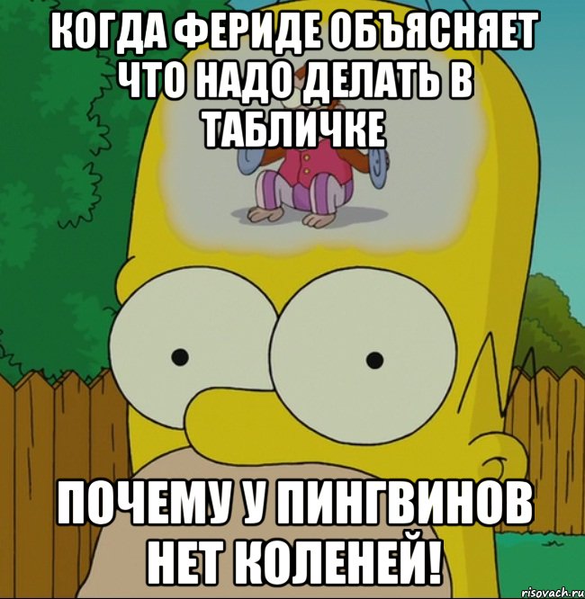 Когда Фериде объясняет что надо делать в табличке Почему у пингвинов нет коленей!, Мем  Гомер Симпсон