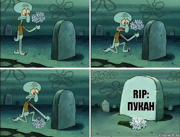 RiP: Пукан