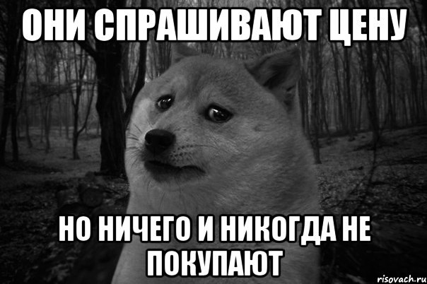 Они спрашивают цену но ничего и никогда не покупают, Мем    Грусть-пичаль