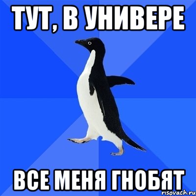 Тут, в универе Все меня гнобят, Мем  Социально-неуклюжий пингвин