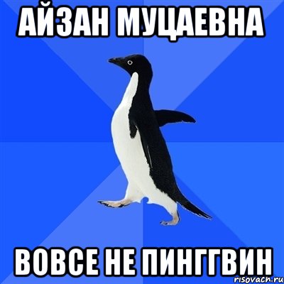 АЙЗАН МУЦАЕВНА ВОВСЕ НЕ ПИНГГВИН, Мем  Социально-неуклюжий пингвин