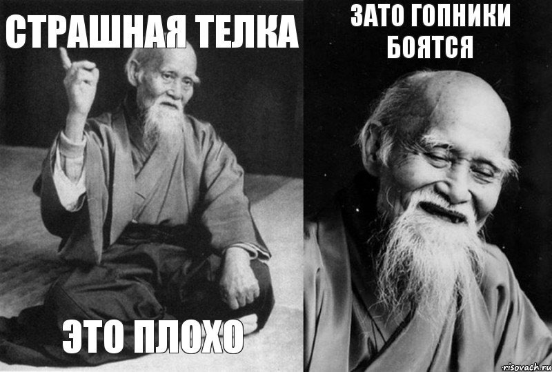 Страшная телка Это плохо Зато гопники боятся 