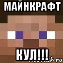 майнкрафт кул!!!, Мем стив