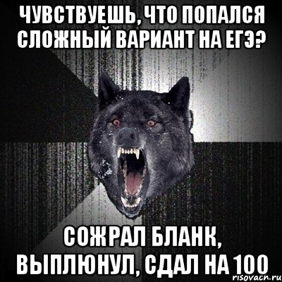 Чувствуешь, что попался сложный вариант на ЕГЭ? Сожрал бланк, выплюнул, сдал на 100, Мем Сумасшедший волк