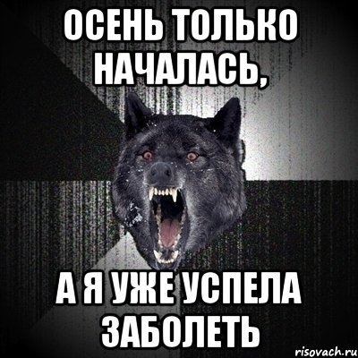 Осень только началась, А я уже успела заболеть, Мем Сумасшедший волк