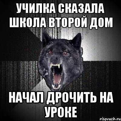 Училка сказала школа второй дом Начал дрочить на уроке, Мем Сумасшедший волк