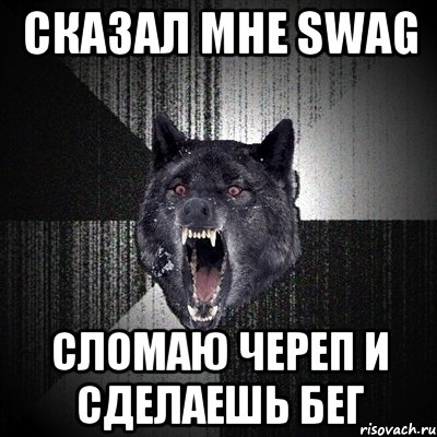 СКАЗАЛ МНЕ SWAG СЛОМАЮ ЧЕРЕП И СДЕЛАЕШЬ БЕГ, Мем Сумасшедший волк