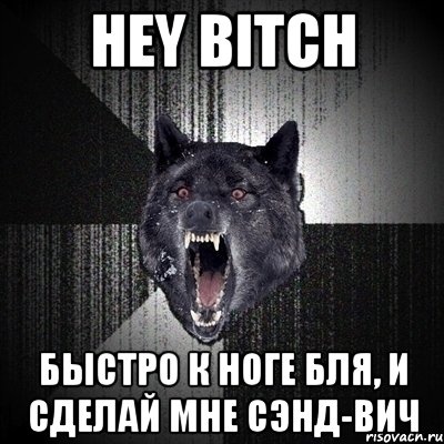 HEY BITCH БЫСТРО К НОГЕ БЛЯ, И СДЕЛАЙ МНЕ СЭНД-ВИЧ, Мем Сумасшедший волк