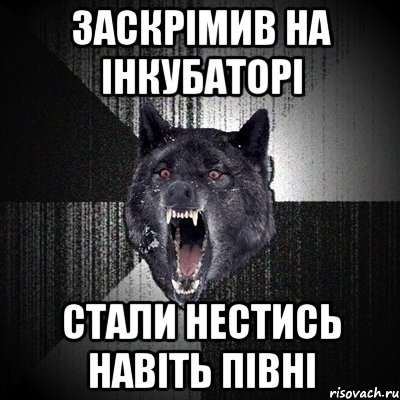 Заскрімив на інкубаторі Стали нестись навіть півні, Мем Сумасшедший волк