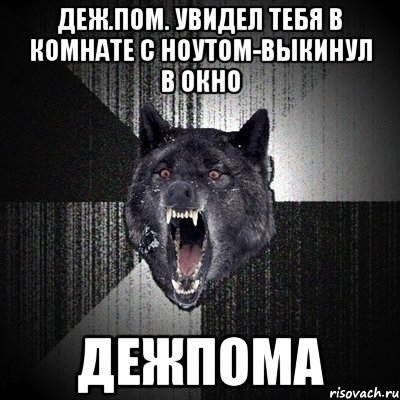 Деж.пом. увидел тебя в комнате с ноутом-выкинул в окно дежпома, Мем Сумасшедший волк