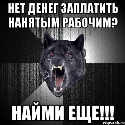 Нет денег заплатить нанятым рабочим? НАЙМИ ЕЩЕ!!!, Мем Сумасшедший волк